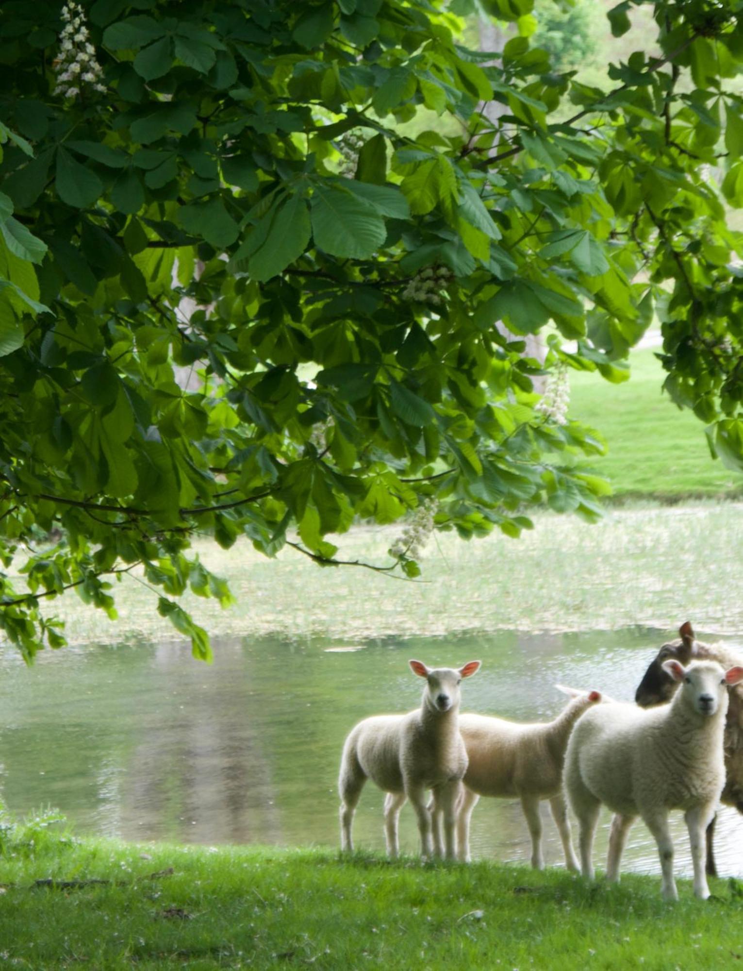 Oak Tree Cottage Stoke Rochford Εξωτερικό φωτογραφία